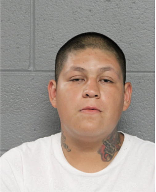 ERIC JARA, Cook County, Illinois