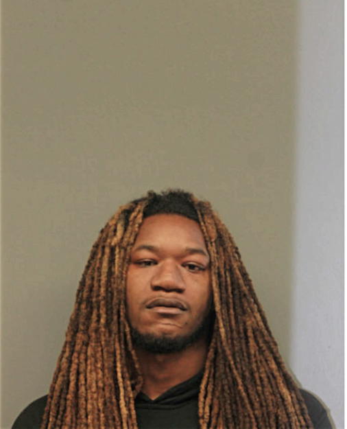 ANTONIO T LANE, Cook County, Illinois