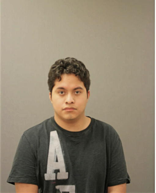 JORGE NAVA, Cook County, Illinois