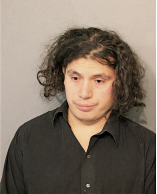 JORGE R LUNA GOMEZ, Cook County, Illinois