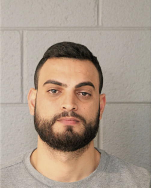 AMJAD H RAYYAN, Cook County, Illinois