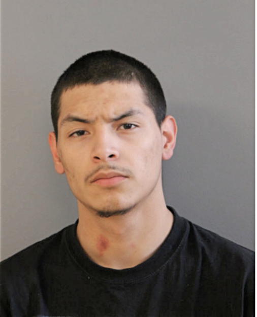ADRIAN A RIVAS, Cook County, Illinois