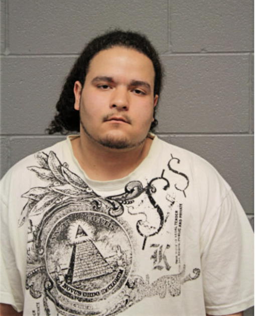 CARLOS M RIVERA, Cook County, Illinois