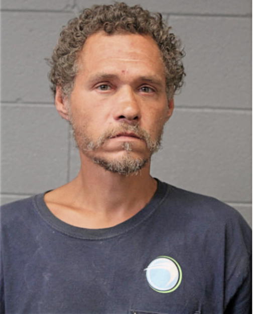 LUIS A ROCHA, Cook County, Illinois