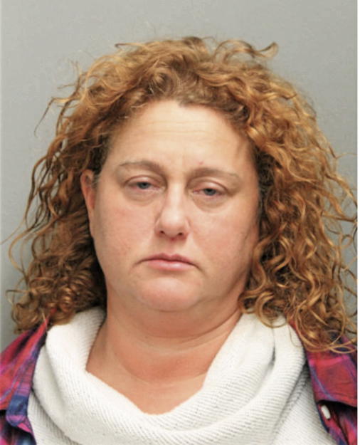 TANYA C SCHMITT, Cook County, Illinois