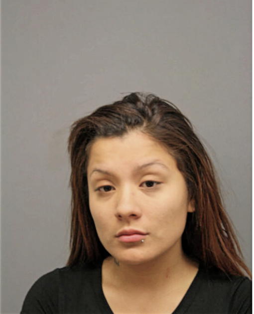 ANNETTE M SILVA, Cook County, Illinois