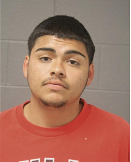 DANIEL P VEGA, Cook County, Illinois