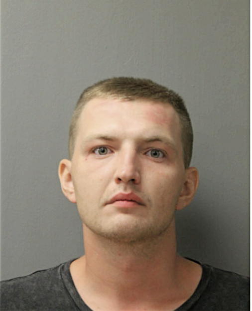 SERGIY Y ZAYTSEV, Cook County, Illinois
