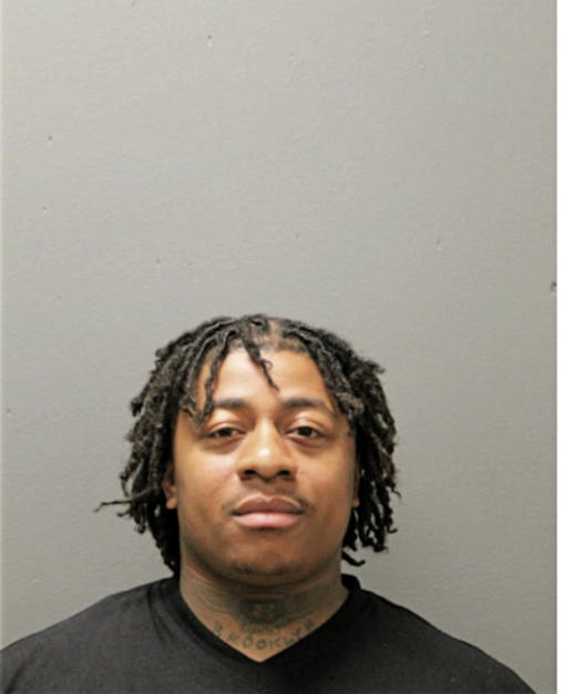 STEPHAN P BARNES, Cook County, Illinois