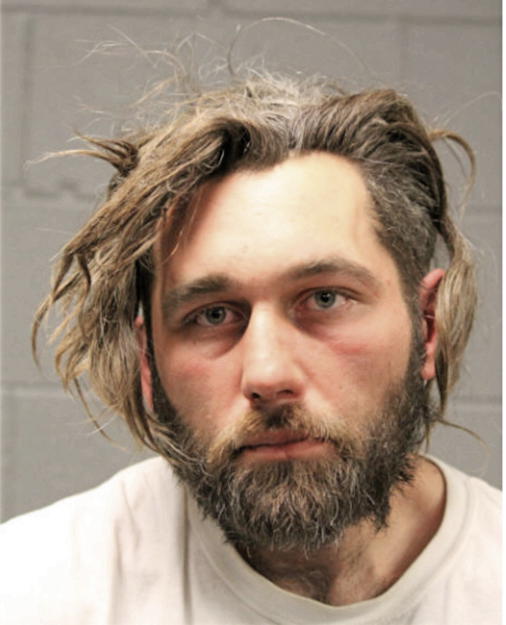ANDREW P BEERS, Cook County, Illinois