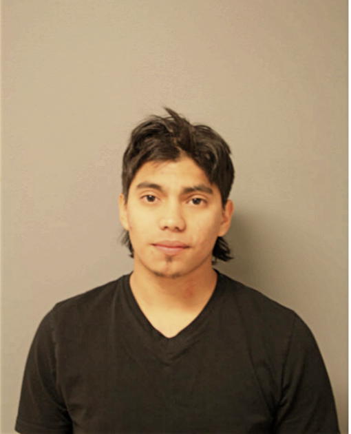 JUAN M BRAVO, Cook County, Illinois
