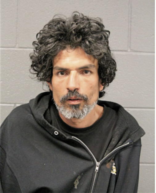 JUAN CARLOS BORGES, Cook County, Illinois