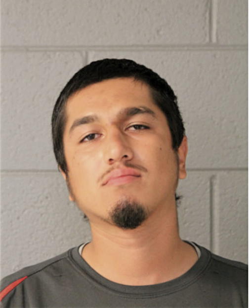 SANTOS CHAVEZ, Cook County, Illinois