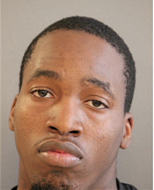 TERRANCE D SCHAFFER, Cook County, Illinois