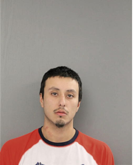 LUIS DEANDA, Cook County, Illinois