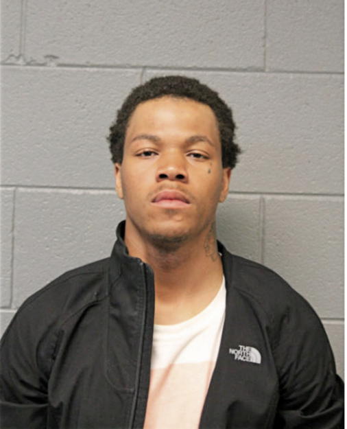 DEVIN T DESPENZA, Cook County, Illinois