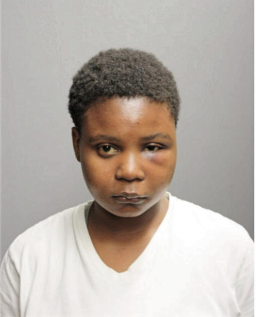 SHANNON J FERGUSON, Cook County, Illinois