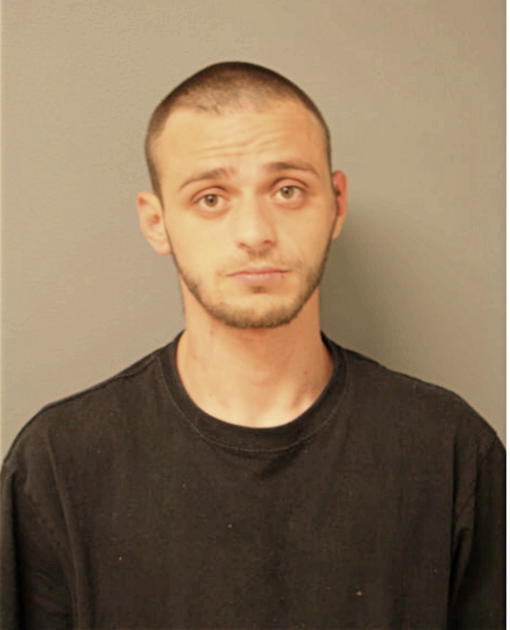 DANIEL W GONZALEZ, Cook County, Illinois