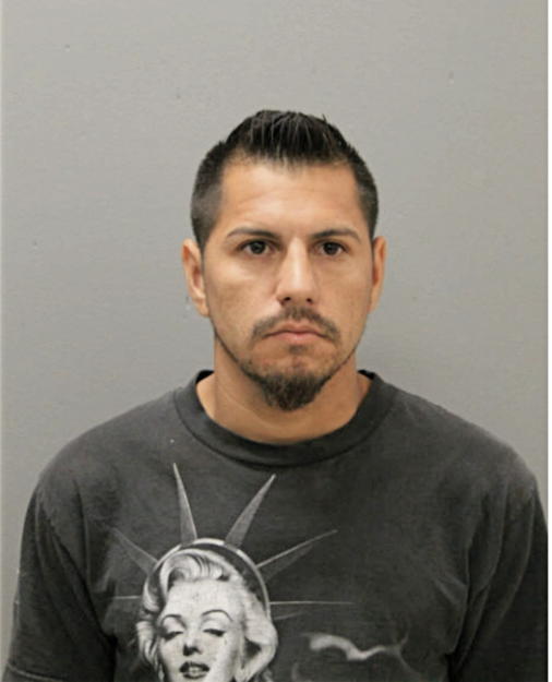 JORGE A GONZALEZ, Cook County, Illinois