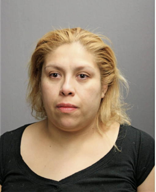 NANCY G GUZMAN, Cook County, Illinois