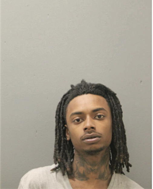 WILLIAM T HERBERT, Cook County, Illinois