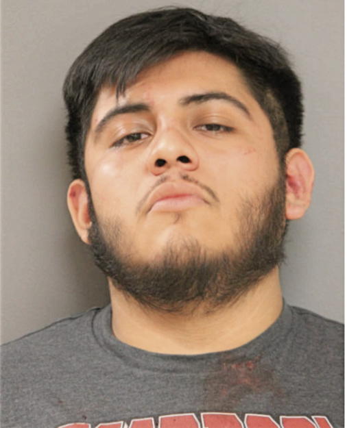 CHRISTIAN LAGUNAS, Cook County, Illinois