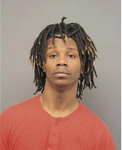 LAVONTE D LANE, Cook County, Illinois