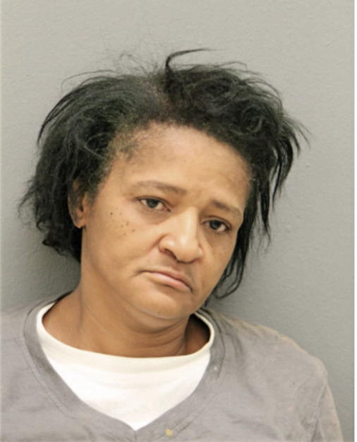 CYNTHIA A NELSON, Cook County, Illinois
