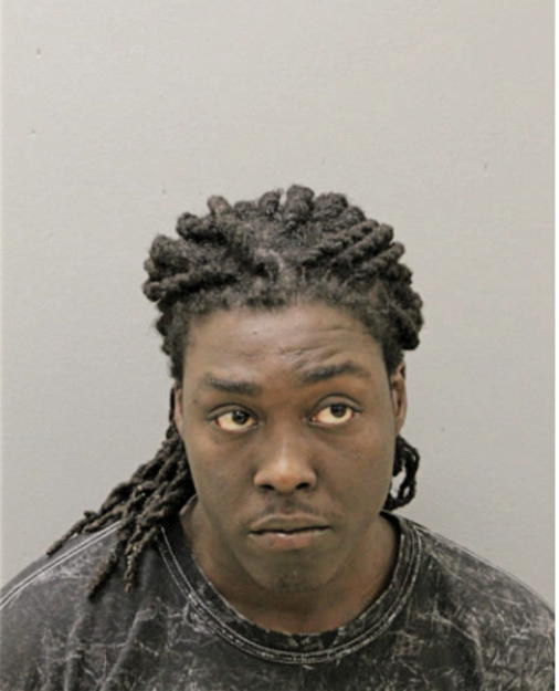 ERIC T ONEAL, Cook County, Illinois