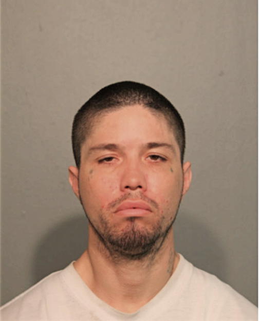CARLOS A ORTIZ, Cook County, Illinois