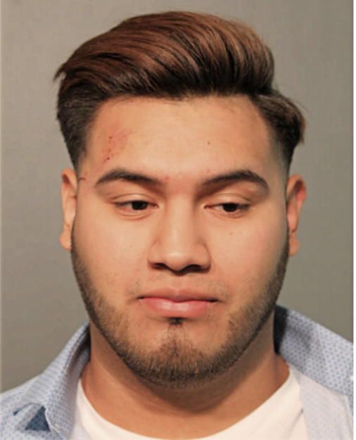 DAVID PEDRAZA, Cook County, Illinois