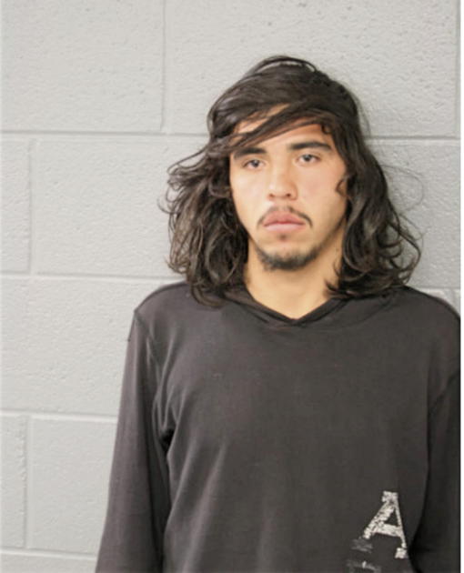 JOSE C ROSILES, Cook County, Illinois