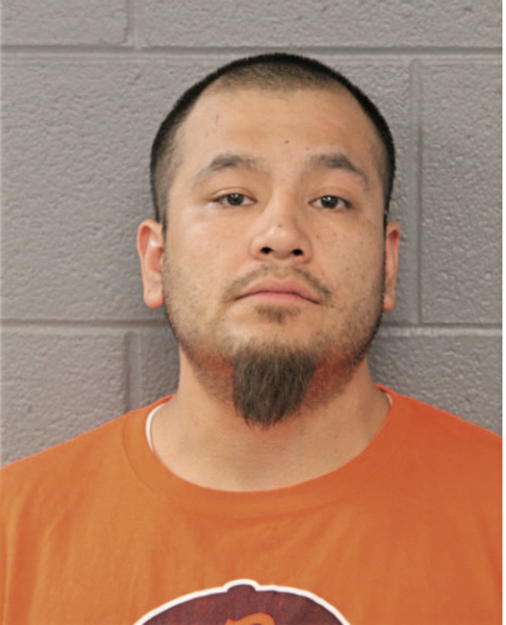 RICARDO SANCHEZ, Cook County, Illinois