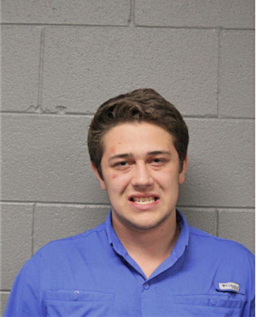 LUKE A SMITH, Cook County, Illinois