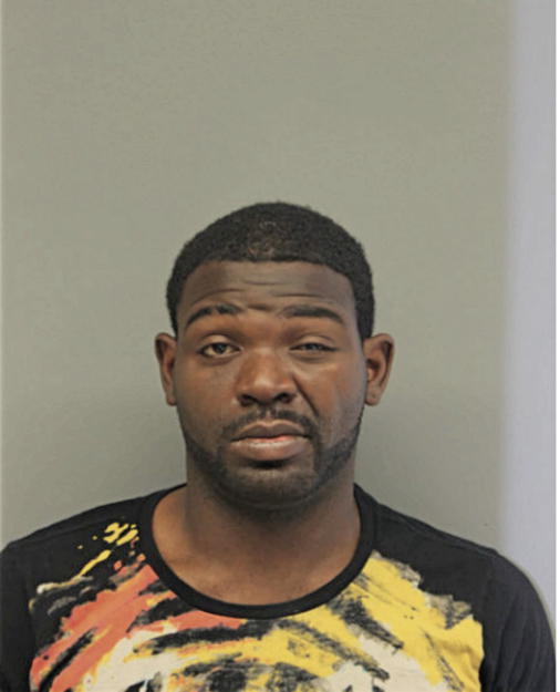 DAVID T STANCIEL, Cook County, Illinois