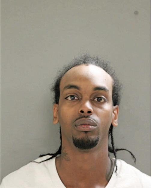 ARRIEL G TURNER, Cook County, Illinois