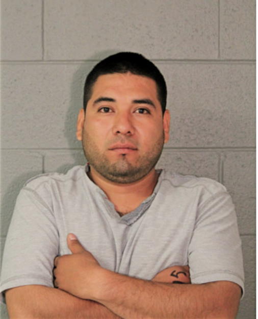 JOSE E ARTEAGA, Cook County, Illinois