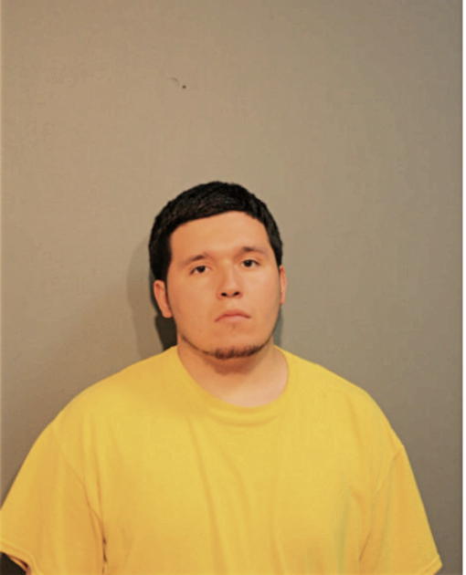 RAUL AYON, Cook County, Illinois