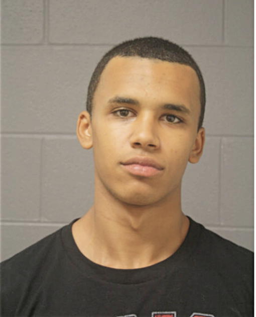 DONNELL C BARAN, Cook County, Illinois