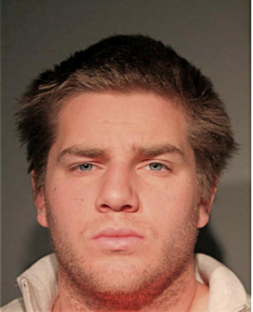 ZACH C DEPHILLIPS, Cook County, Illinois