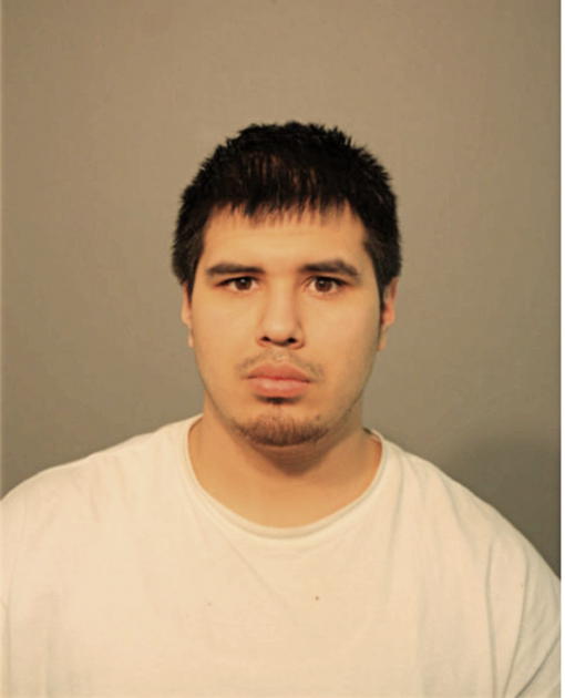 ALEXANDER CASTANUELA, Cook County, Illinois