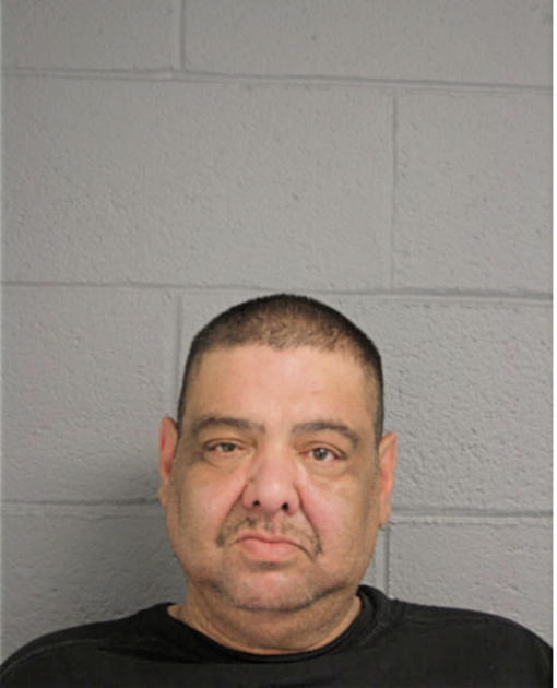 ANGEL M COLON, Cook County, Illinois