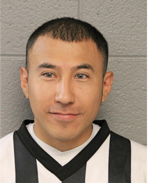 ERIK FLORES, Cook County, Illinois