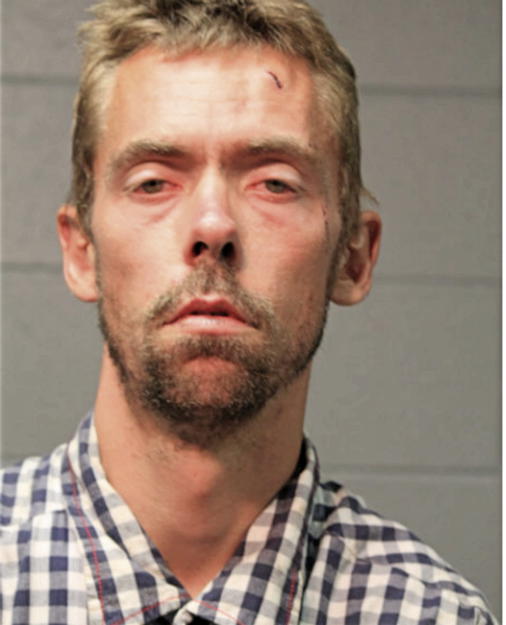 SHAWN C FLOWERS, Cook County, Illinois