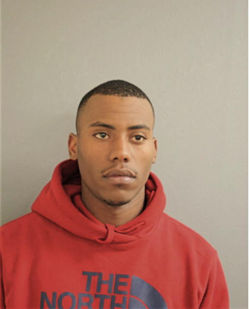 BRANDON D FOLEY, Cook County, Illinois