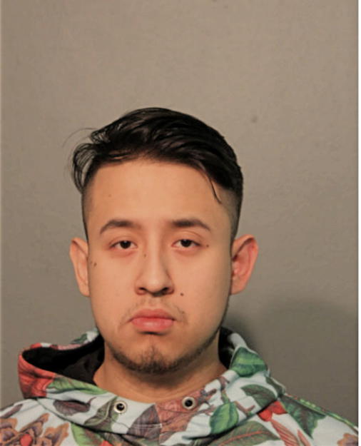 DANIEL E GONZALEZ, Cook County, Illinois
