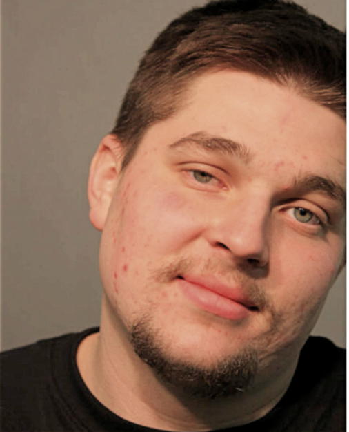 ZACHARY D GOODMAN, Cook County, Illinois