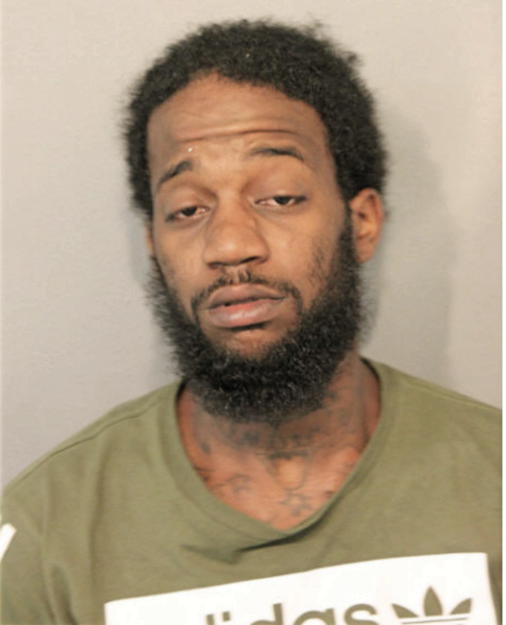 TERRENCE L HOLBROOK, Cook County, Illinois