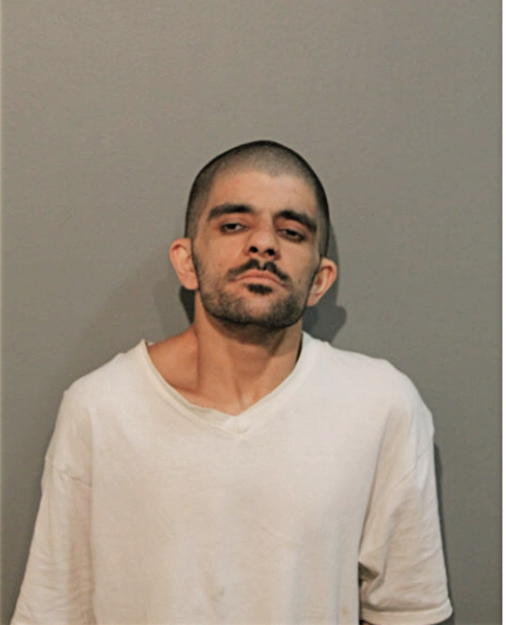 MARK A JAIKARAN, Cook County, Illinois