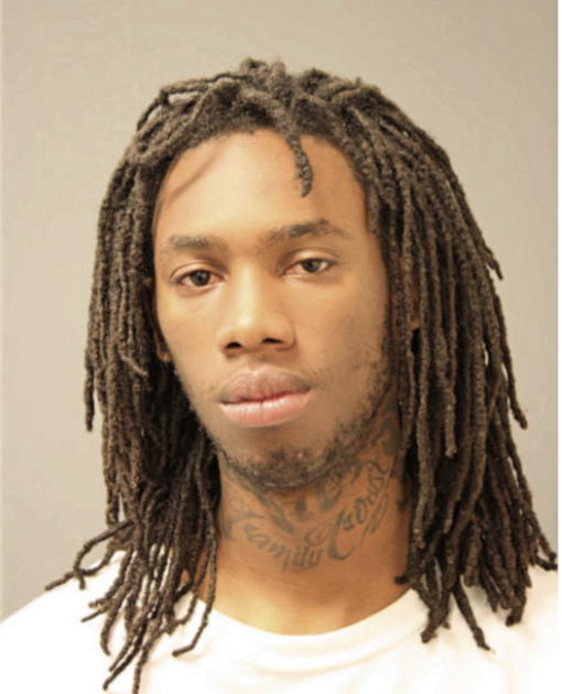 MICHAEL A JAMES, Cook County, Illinois